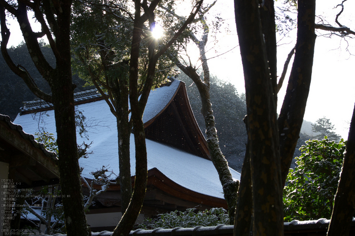 三尾,高山寺,PK3_5782_(40mm,F5,0)_2014yaotomi_.jpg