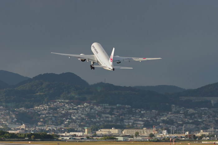 伊丹空港(P_K31982,200mm,F7.1,iso100)_2013yaotomi_.jpg