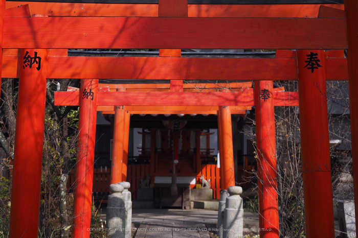 北野天満宮,梅(OMD_EM10,10-07-40,40mm,F5.6,iso200)2014yaotomi_.jpg