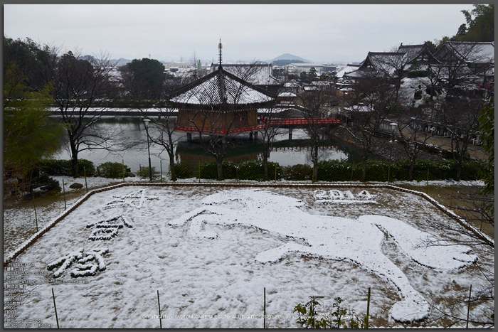 大和七福八宝めぐり,安部文殊院_K50_2817(K50,F9)_2014yaotomi_Top.jpg