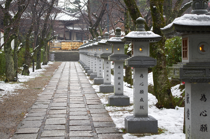 大和七福八宝めぐり,安部文殊院_K50_2895(K50,F5.6)_2014yaotomi_.jpg