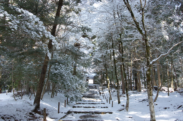 常照皇寺,雪景(K3,102239_20mm,F6,3)2014yaotomi_.jpg