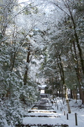 常照皇寺,雪景(K3,102436_20mm,F7,1,FULL)2014yaotomi_.jpg