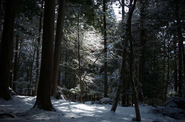 常照皇寺,雪景(K3,102817_28mm,F4,5)2014yaotomi_.jpg