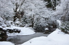 常照皇寺,雪景(K3,103223_31mm,F7,1,FULL)2014yaotomi_.jpg