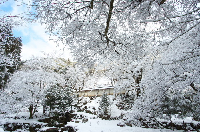 常照皇寺,雪景(K3,103515_14mm,F9,0)2014yaotomi_.jpg