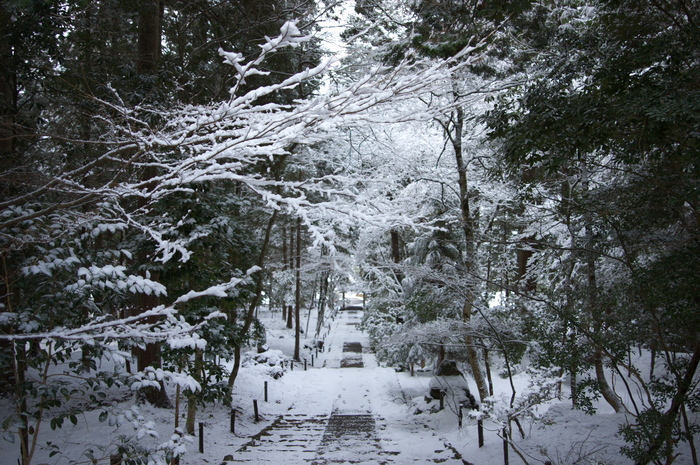 常照皇寺,雪景(K3,104342_20mm,F2,8)2014yaotomi_.jpg