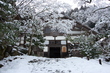 常照皇寺,雪景(K3,104843,20mm,F8,0,FULL)2014yaotomi_.jpg