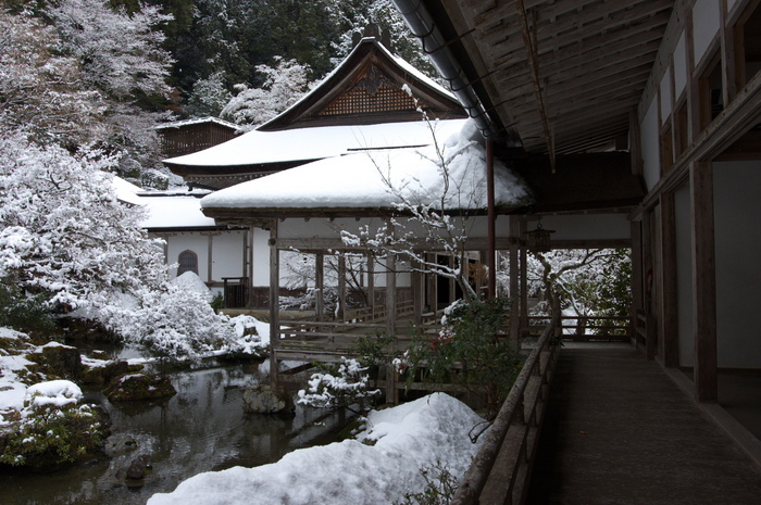 常照皇寺,雪景(K3,110015_20mm,F8,0)2014yaotomi_.jpg