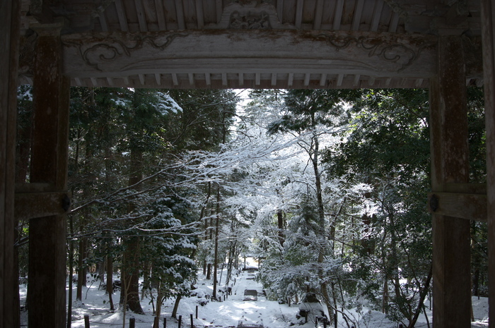常照皇寺,雪景(K3,112839_20mm,F3,5)2014yaotomi_.jpg