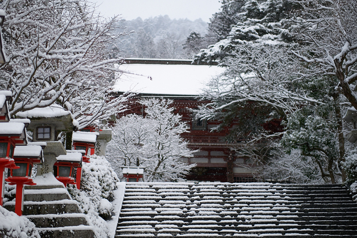 鞍馬寺,雪景(NOCTICRON,08-11-03,43mm,F1.2)_2014yaotomi_.jpg