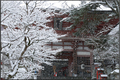鞍馬寺,雪景(NOCTICRON,08-13-48,43mm,F5.6)_2014yaotomi_Top.jpg