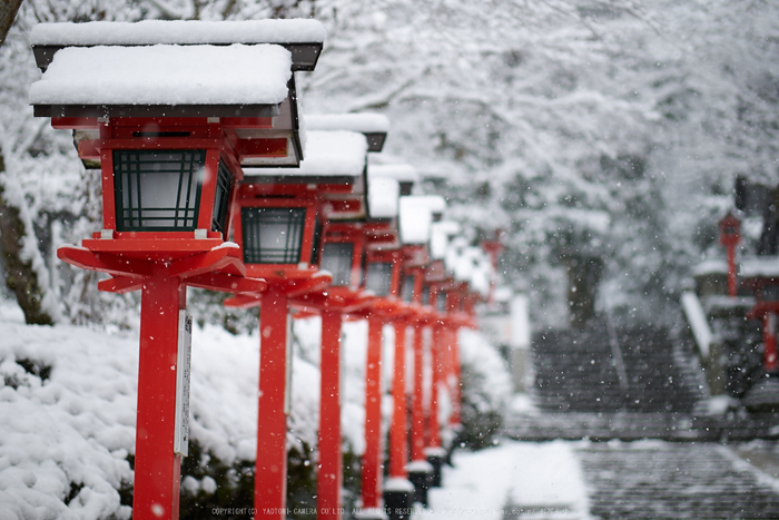 鞍馬寺,雪景(NOCTICRON,08-19-03,43mm,F1.2)_2014yaotomi_.jpg