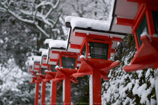 鞍馬寺,雪景(NOCTICRON,08-43-00,43mm,F1.2)_2014yaotomi_.jpg