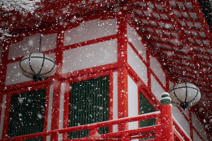 鞍馬寺,雪景(NOCTICRON,08-48-46,43mm,F1.2)_2014yaotomi_.jpg