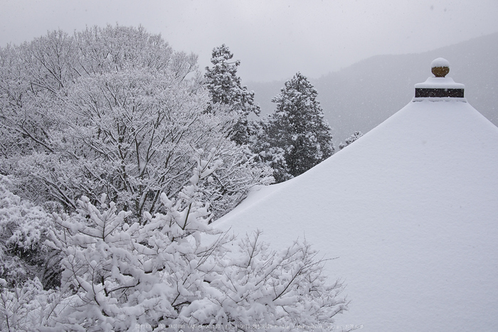 鞍馬寺,雪景(NOCTICRON,09-03-02,20mm,F5.6)_2014yaotomi_.jpg