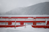 鞍馬寺,雪景(NOCTICRON,09-24-22Cap,43mm,F1.2)_2014yaotomi_.jpg