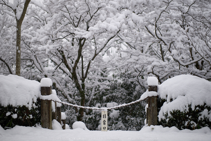 鞍馬寺,雪景(NOCTICRON,09-25-11Cap,43mm,F1.2)_2014yaotomi_.jpg