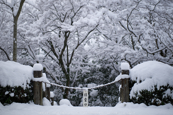 鞍馬寺,雪景(NOCTICRON,09-25-11Cap,43mm,F1.2,a)_2014yaotomi_.jpg