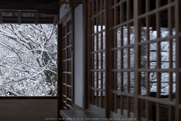 鞍馬寺,雪景(NOCTICRON,09-32-25Cap,43mm,F2.2)_2014yaotomi_.jpg
