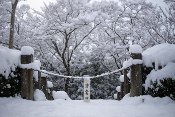 鞍馬寺,雪景(NOCTICRON,09-39-17Cap,20mm,F1.7,FULL)_2014yaotomi_.jpg