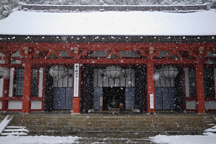 鞍馬寺,雪景(NOCTICRON,09-40-46,20mm,F1.7,JPEG)_2014yaotomi_.jpg