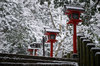 鞍馬寺,雪景(NOCTICRON,09-55-16Cap,43mm,F1.2)_2014yaotomi_.jpg