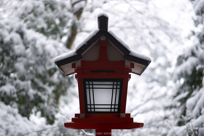 鞍馬寺,雪景(NOCTICRON,09-59-02Cap,43mm,F1.2)_2014yaotomi_.jpg