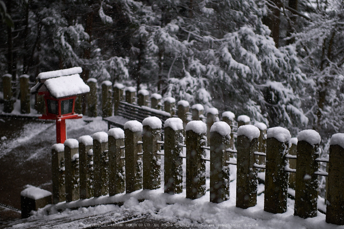 鞍馬寺,雪景(NOCTICRON,10-00-50Cap,43mm,F1.2)_2014yaotomi_.jpg