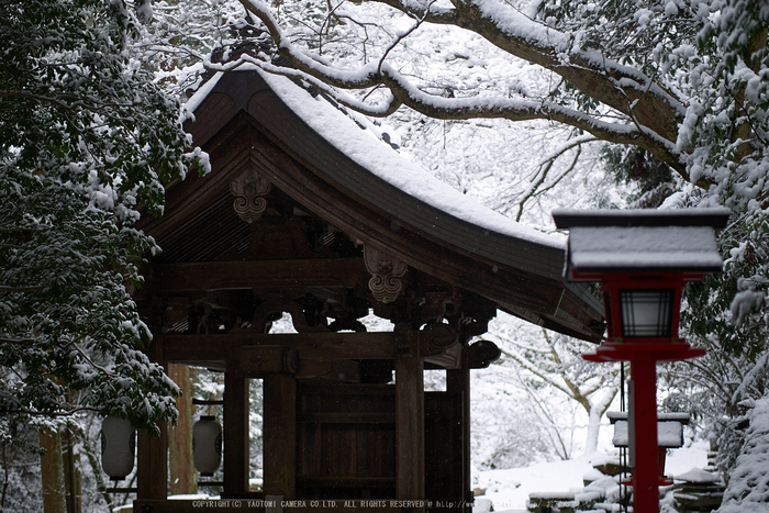 鞍馬寺,雪景(NOCTICRON,10-03-56Cap,43mm,F1.2)_2014yaotomi_.jpg