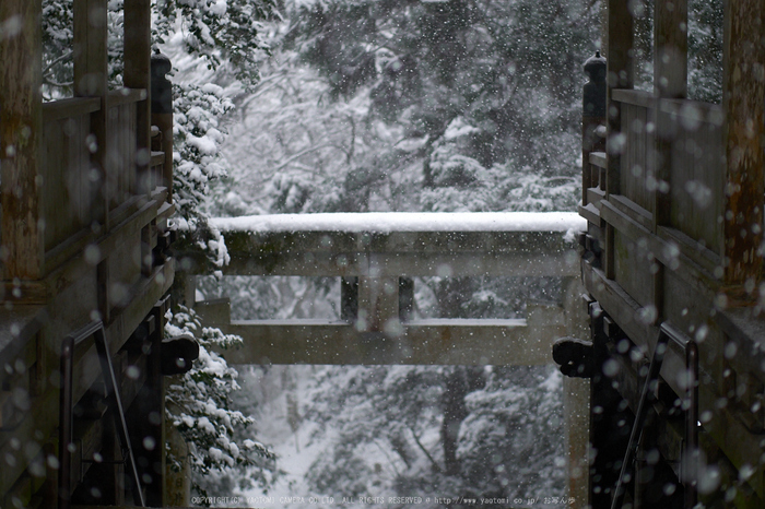 鞍馬寺,雪景(NOCTICRON,10-23-34Cap,43mm,F1.2)_2014yaotomi_.jpg