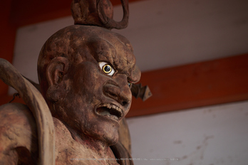 鞍馬寺,雪景(NOCTICRON,10-39-14,43mm,F1.6,JPEG)_2014yaotomi_.jpg