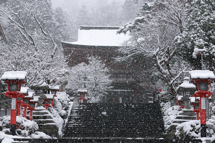 鞍馬寺,雪景(NOCTICRON,10-42-54,43mm,F5.6,JPEG)_2014yaotomi_.jpg