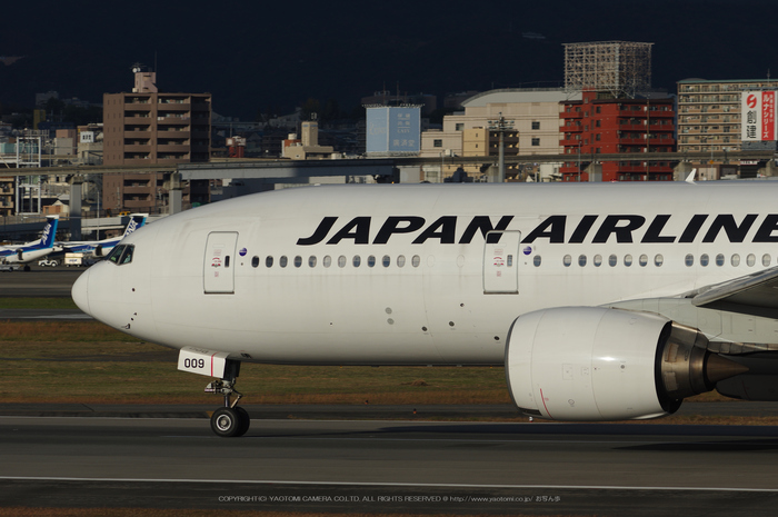 smc PENTAX-DA ☆ 200mm F2.8 ED [IF]SDM with PENTAX K-3