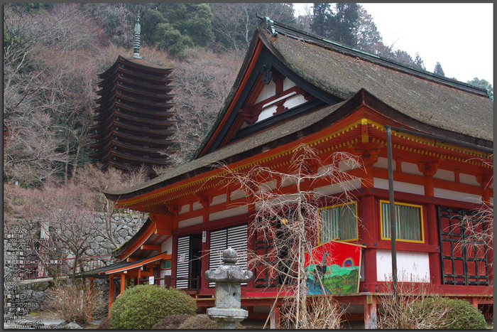 大和七福八宝めぐり,談山神社_PK3_6368,F5,6(SIGMA30mm)_2014yaotomi_TOP.jpg