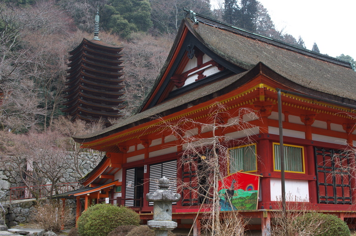 大和七福八宝めぐり,談山神社_PK3_6368,F5,6(SIGMA30mm1,4_FULL)_2014yaotomi_.jpg