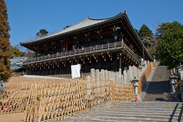 奈良,梅,SIGMA18_200,(IMG_9864,18mm,F8)2014yaotomi_ (1) .jpg