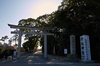 結城神社,梅,SIGMA18_200,(IMG_0517,18mm,F9)2014yaotomi_.jpg