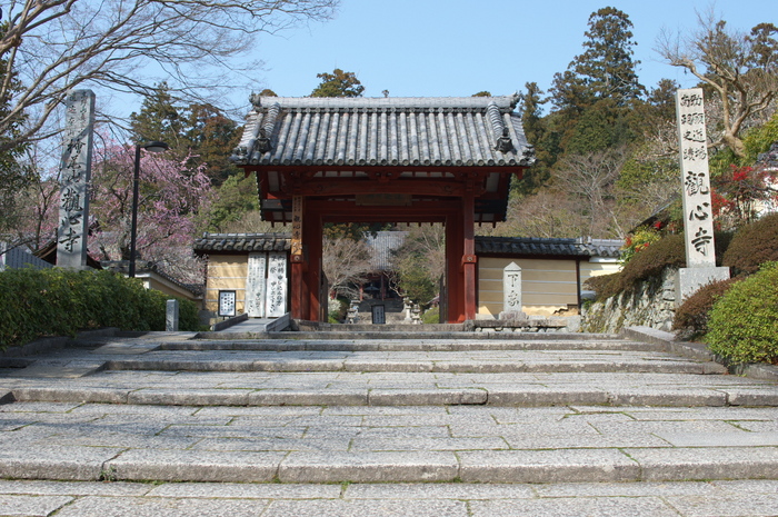 観心寺,梅(PK3_7250_F5,6_30mm)2014yaotomi_.jpg