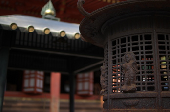 観心寺,梅(PK3_7316_F1,4_30mm)2014yaotomi_.jpg