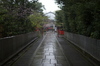 車折神社,桜_2014yaotomi_PK3_7716(F1,6_30mm).jpg