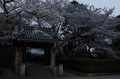 九品寺,桜(PK3_8130,F8,37mm,FULL)2014yaotomi_.jpg