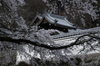 九品寺,桜(PK3_8187,F11,70mm,FULL)2014yaotomi_.jpg