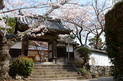 勝持寺,桜(PK3_8973,F8,23mm)2014yaotomi_.jpg