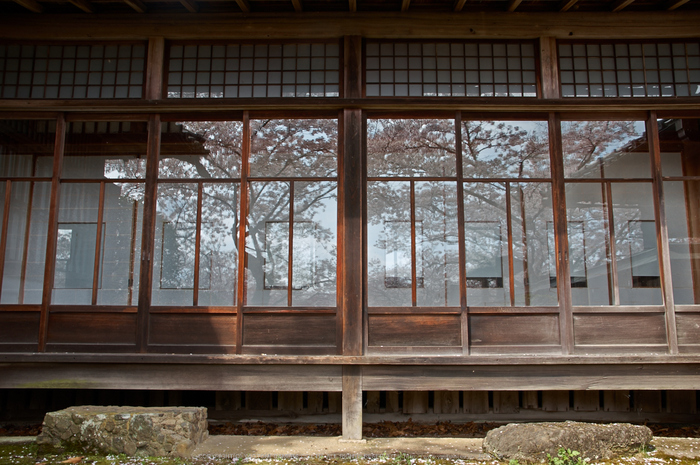 勝持寺,桜(PK3_9004,F8,21mm)2014yaotomi_.jpg