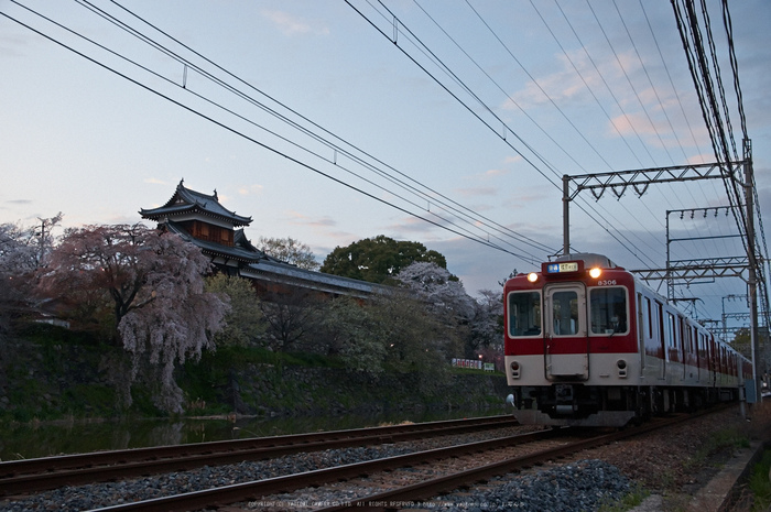 郡山城跡・桜(PK3_8819,F4.5,26mm)2014yaotomi_.jpg