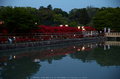 長岡天満宮,キリシマツツジ(IMG_7084,F2.2)2014yaotomi_.jpg