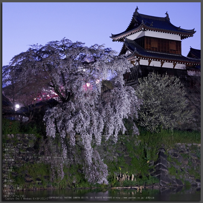 お写ん歩: SIGMA 17-70mm F2.8-4 DC MACRO HSMアーカイブ