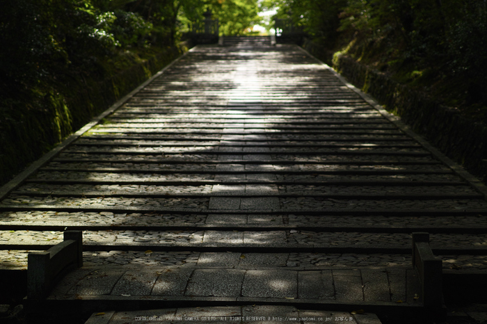 光明寺・新緑(SDIM0571,F--)2014yaotomi_.jpg