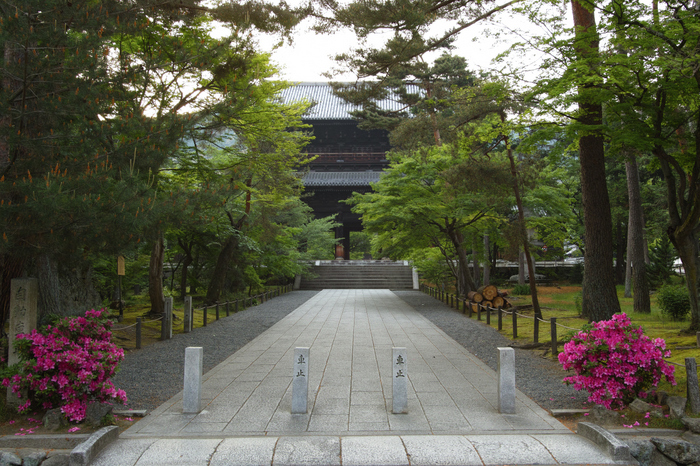 南禅寺,新緑(SDIM0010,SIGMA,SD1merrill)2014yaotomi_.jpg